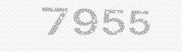 Visual security code — type the characters shown in the image